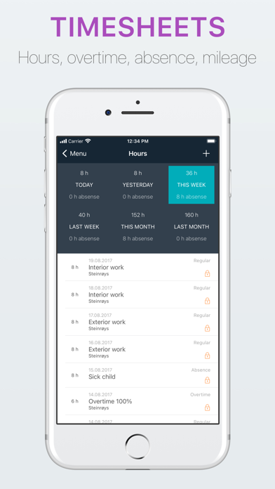 Cerum Work Screenshot