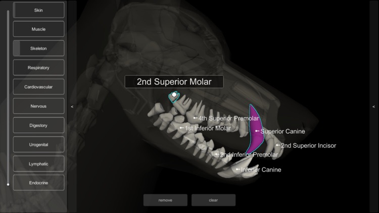3D Canine Anatomy screenshot-7