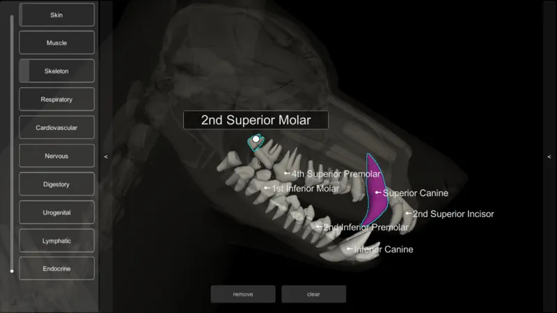 3D Canine Anatomy screenshot 8 of 10