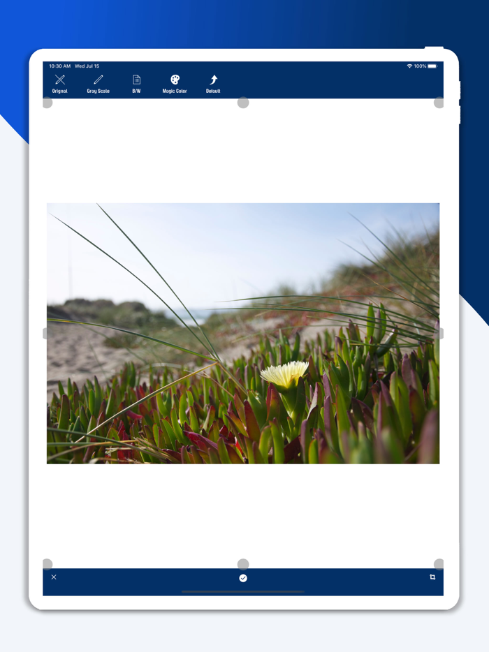 Document Scanner App