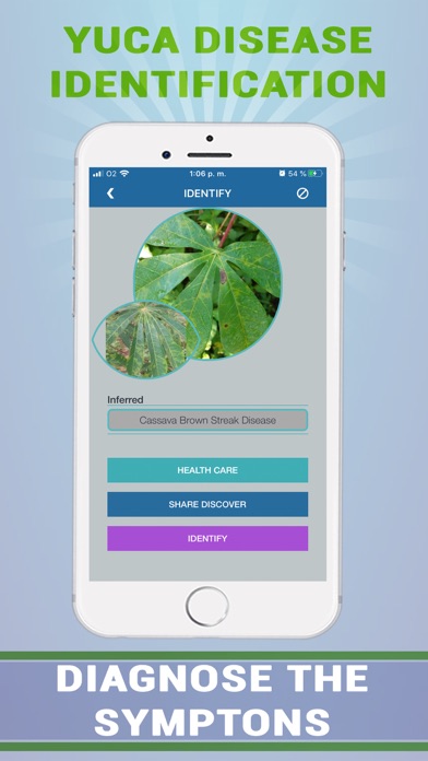Cassava Plant Disease Identify Screenshot