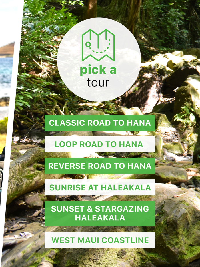 Maui Road to Hana Driving Tour