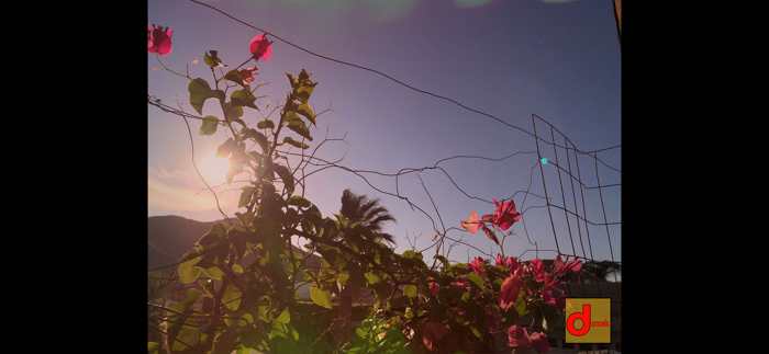 Dozak Disposable Camera