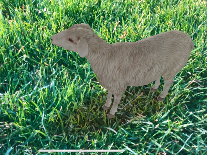 AR Petting Zoo 2