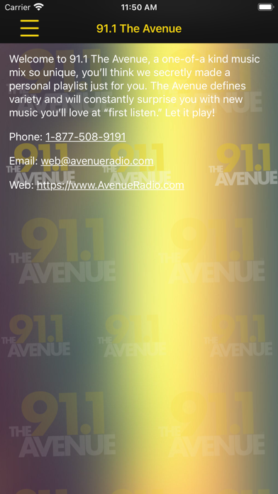 91.1 The Avenue Screenshot