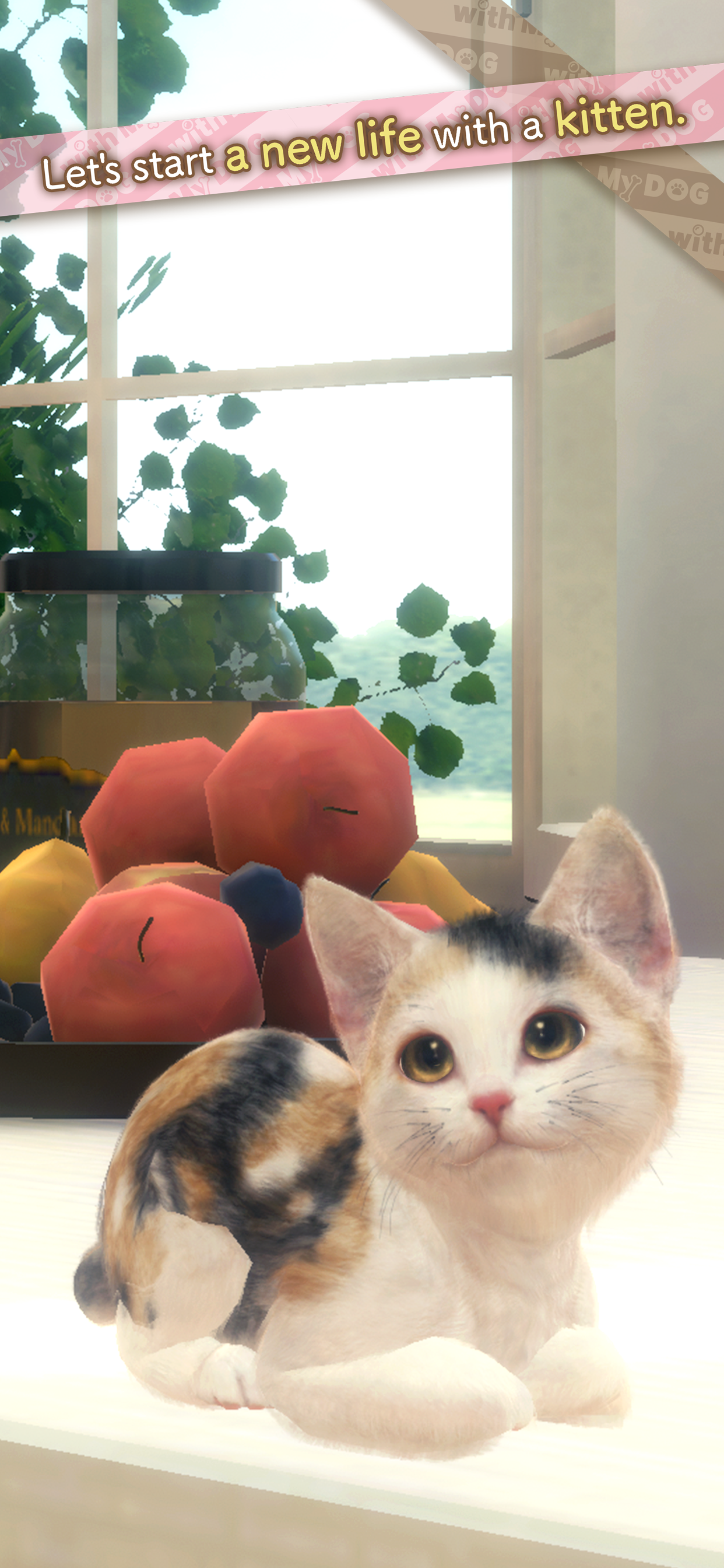 with My CAT