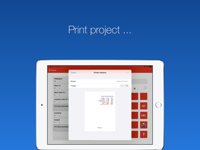 Calculus Initus - Calculator