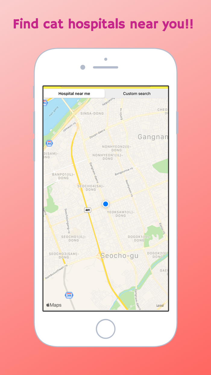 My Meow - Cat Diary, Cat Photo