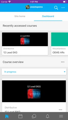 Game screenshot ONESTOPEMS hack
