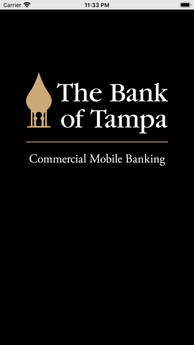 The Bank of Tampa Commercial Screenshot