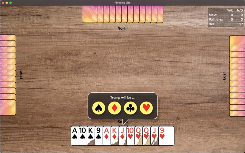 pinochle lite problems & solutions and troubleshooting guide - 3