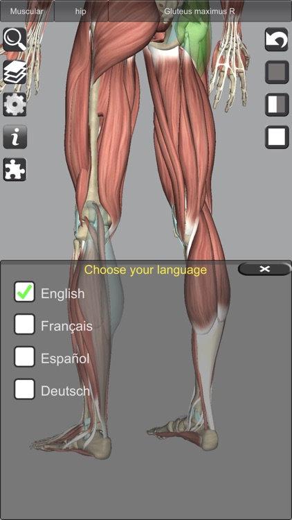 3D Anatomy Learning screenshot-8