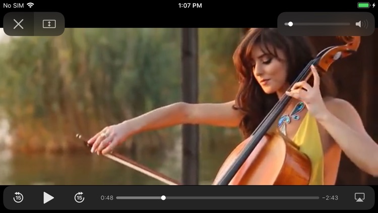 Administrador de video lite