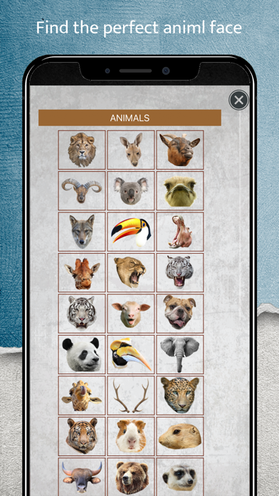 Animal Face Camera Screenshot
