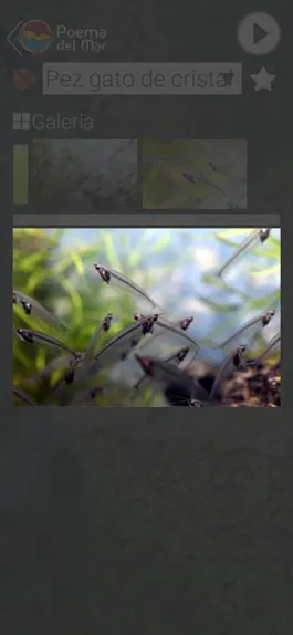 Game screenshot Video guia Poema del Mar hack
