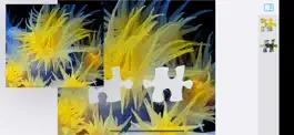 Game screenshot Jigsaw Puzzles Underwater apk