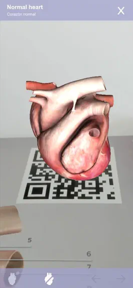 Game screenshot Cardiology 3D Small Animals apk