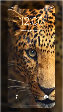 Game screenshot Live Wallpaper Launcher: Maker apk