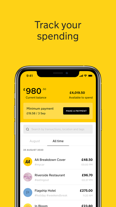 AA Credit Card Screenshot