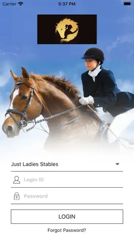 Game screenshot Just Ladies Stables mod apk