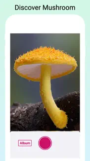 mushroomlens - fungi finder problems & solutions and troubleshooting guide - 1