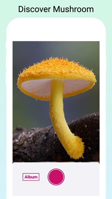 Mushroom Identifier by photo Screenshot