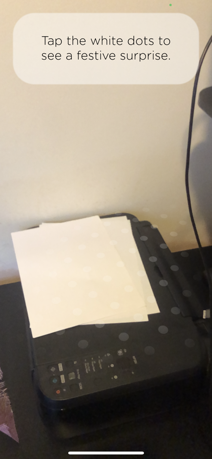 Appt Christmas Surprise