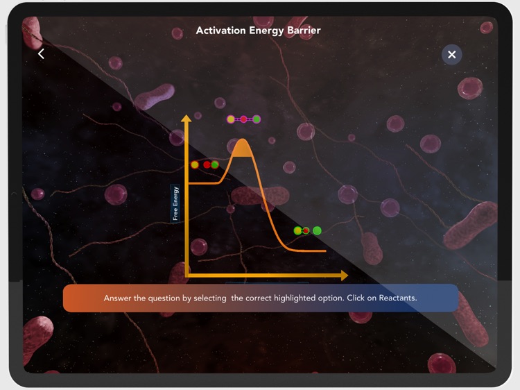 XR Guru screenshot-5