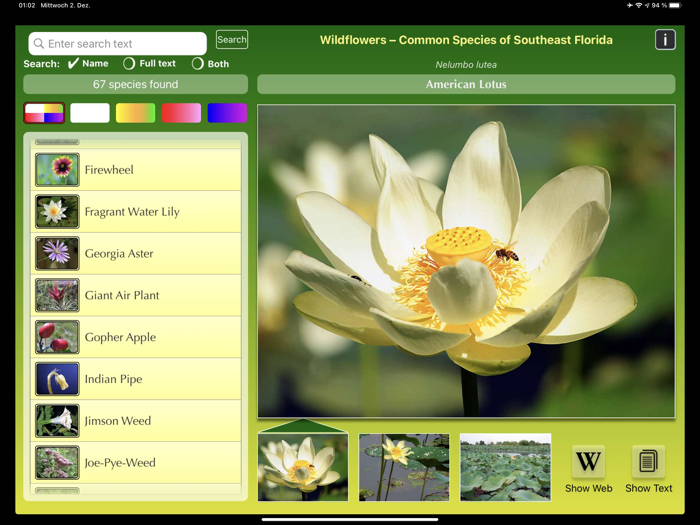 Southern Florida Wildflowers