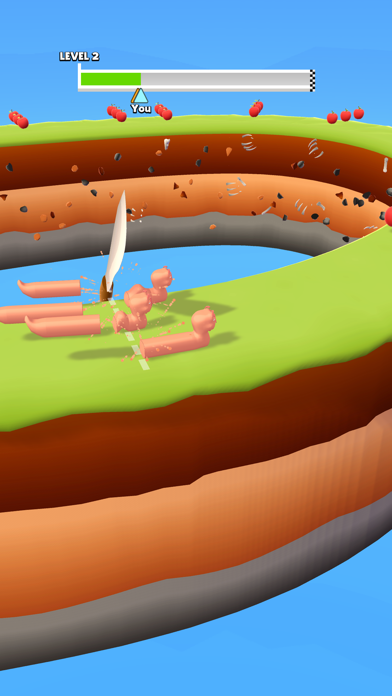 Worm Race 3D Screenshot