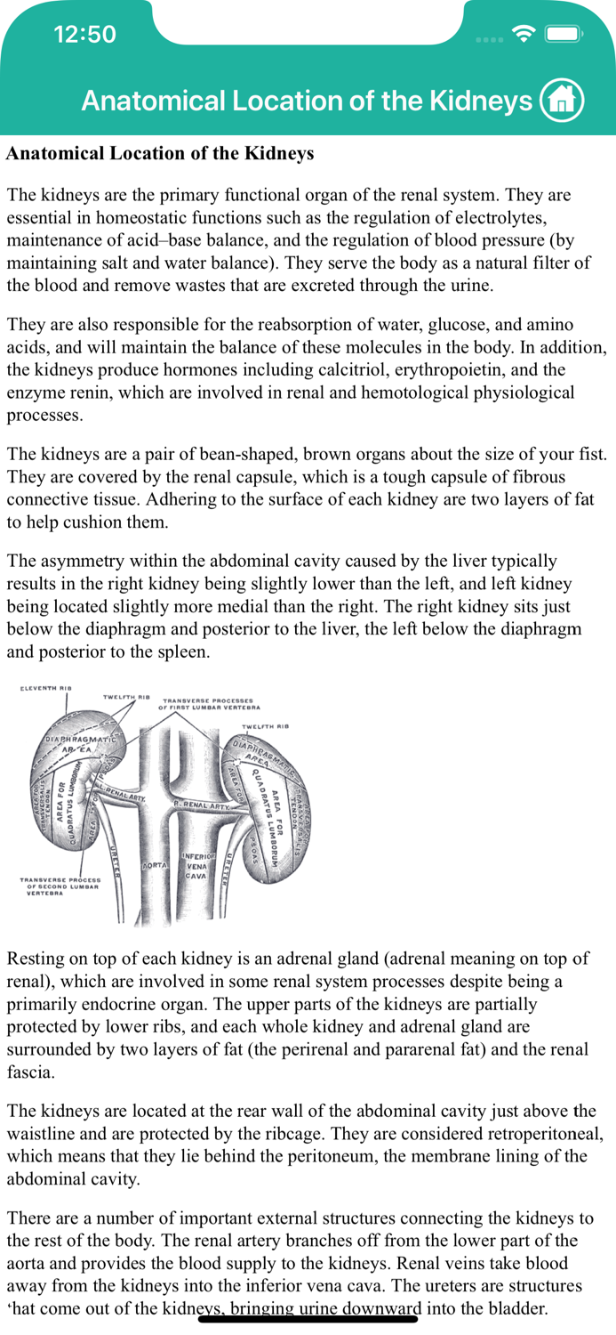Learn Kidney Anatomy