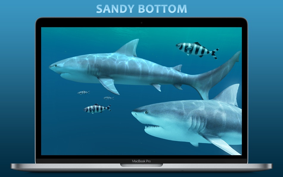 Sharks 3D - 2.1.0 - (macOS)