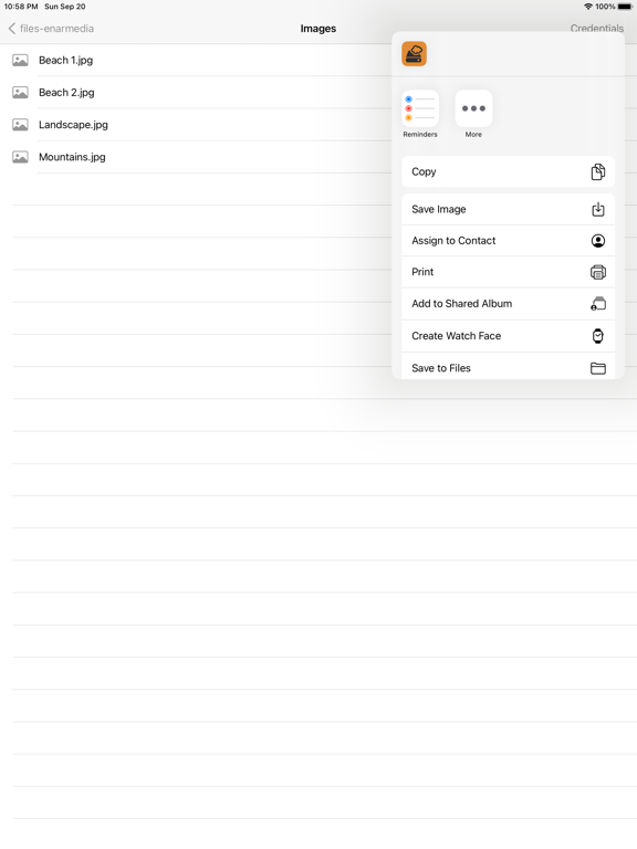 Screenshot #6 pour NETdepot Explorer
