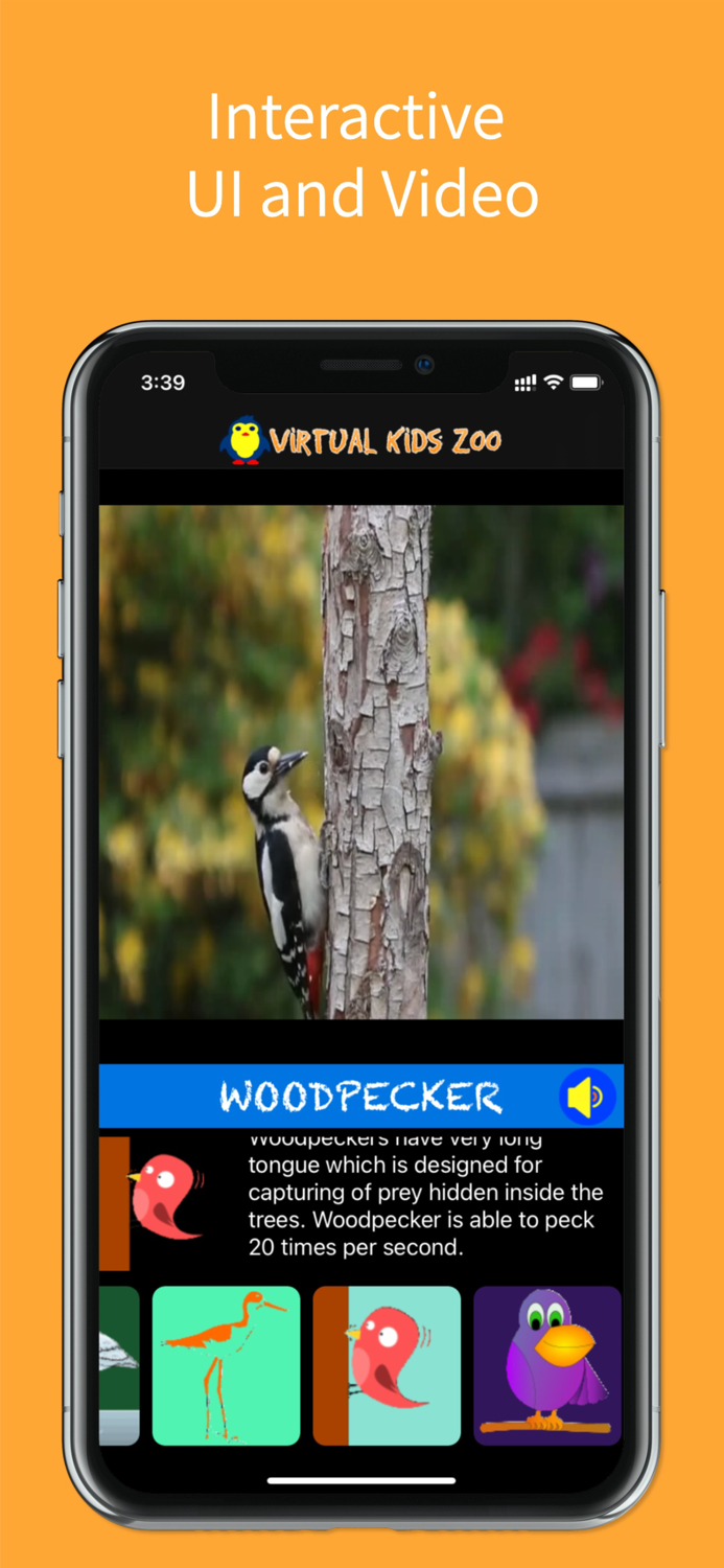 Virtual Kids Zoo