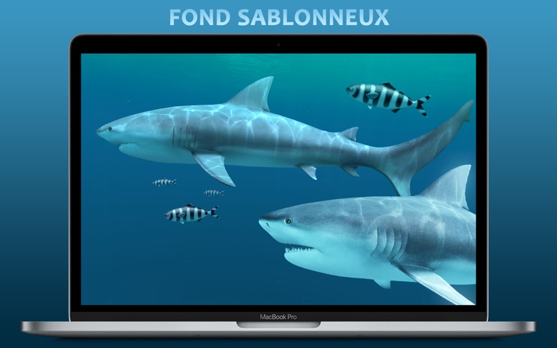 Screenshot #1 pour Requins 3D