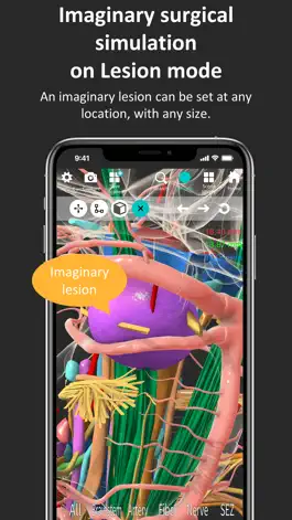 Game screenshot Brainstem and SEZ anatomy hack