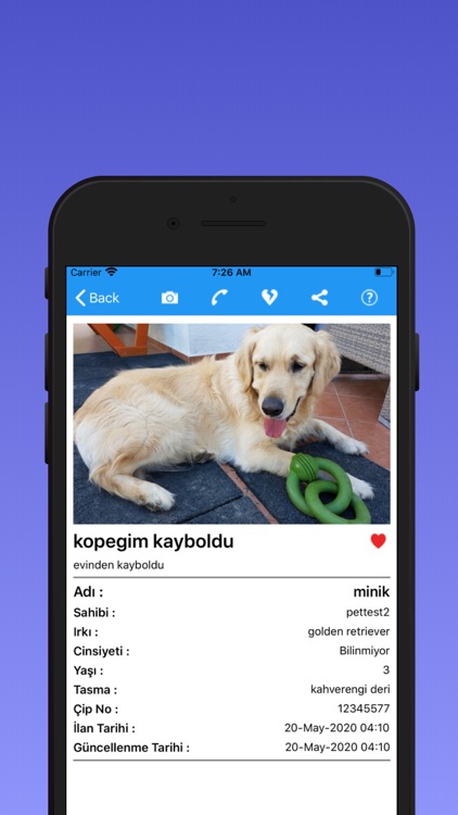 PetSearch