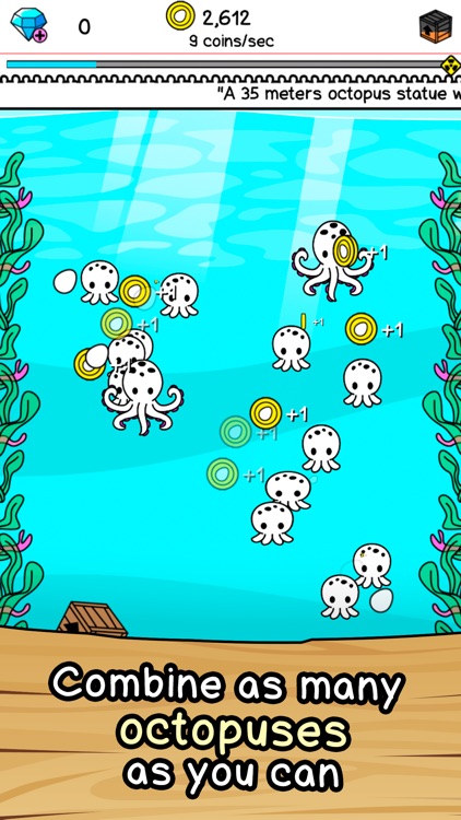 Octopus Evolution