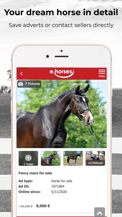 ehorses Screenshot