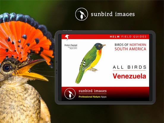 Screenshot #4 pour All Birds Venezuela - guide