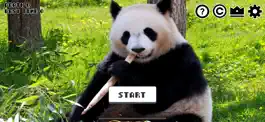 Game screenshot I wanna escape from the panda hack