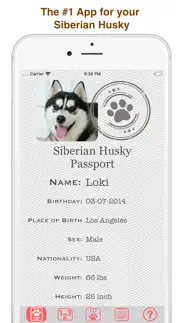 my siberian husky iphone screenshot 1