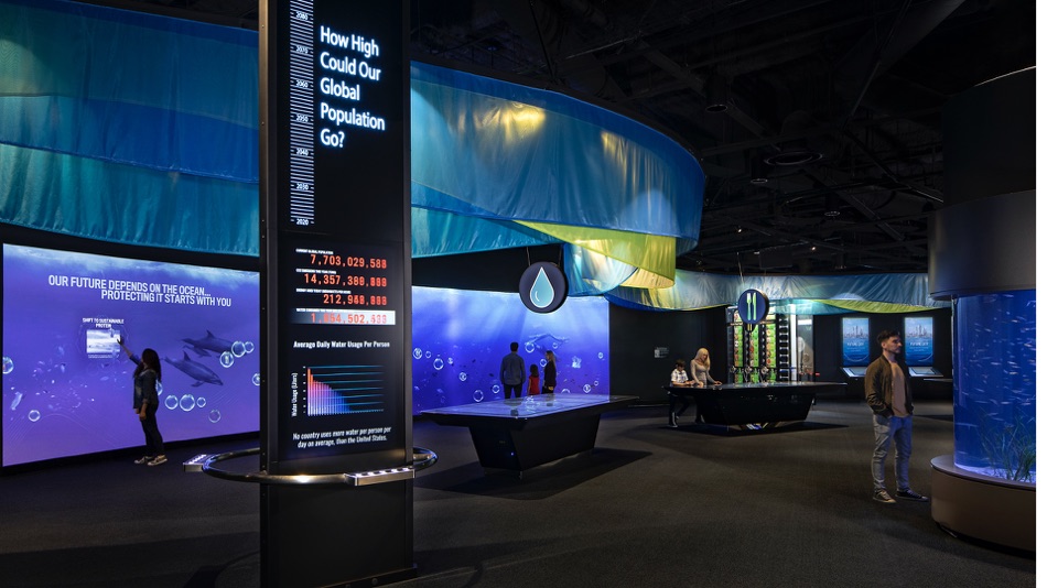 #6. B VERSION (iOS) 来自: Edwards Technologies Inc.