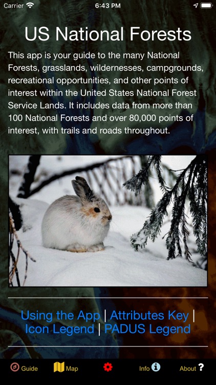 US National Forest Service Map