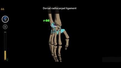 Anatomy Ninja Upper Limb Screenshot