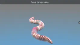 Game screenshot Diversity in Living: Annelida hack