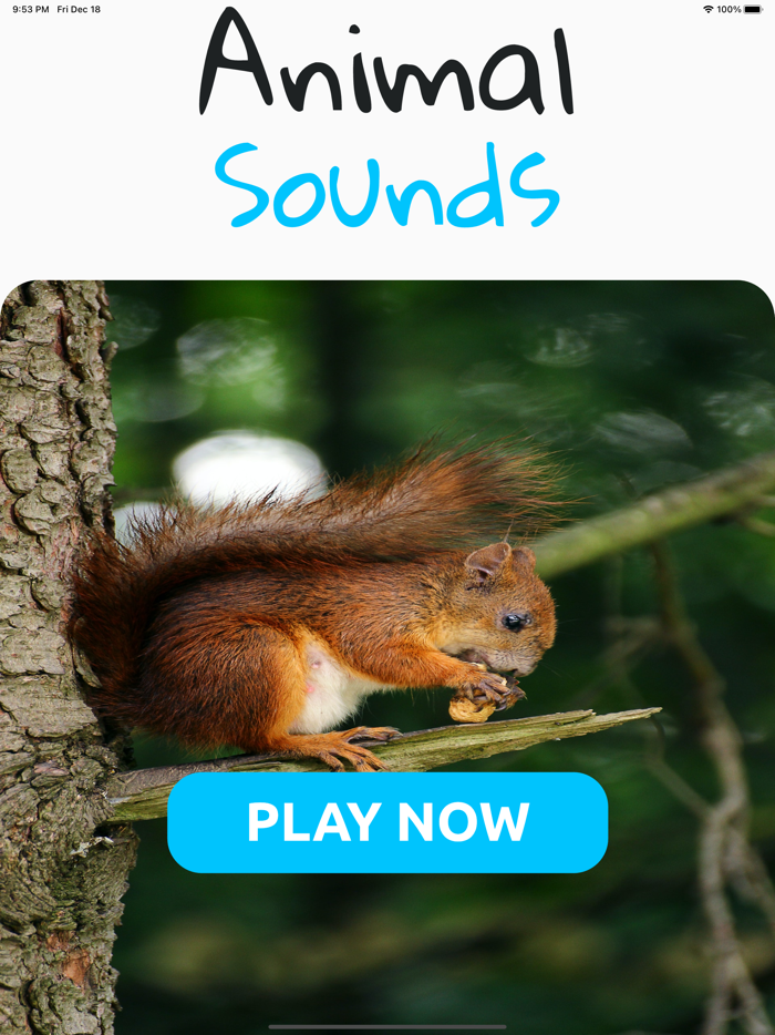 Animal Sounds Player