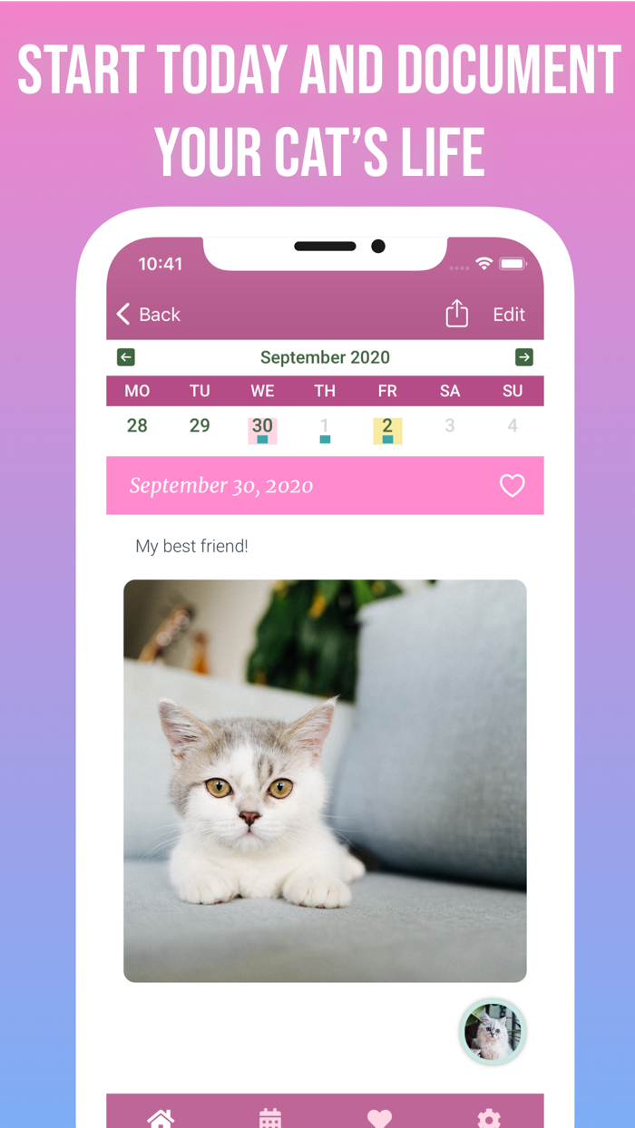 Kitty Journal - Your Cat Diary