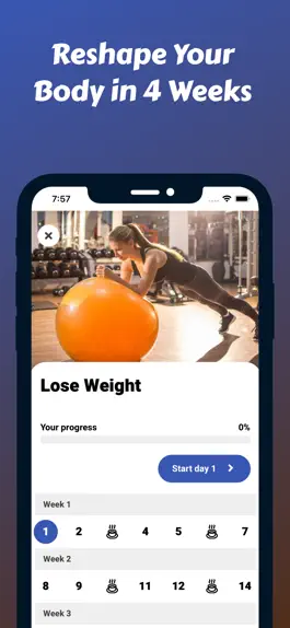 Game screenshot Stability Ball Workout Plan hack