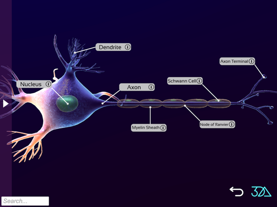 Screenshot #5 pour 3DAnatomica